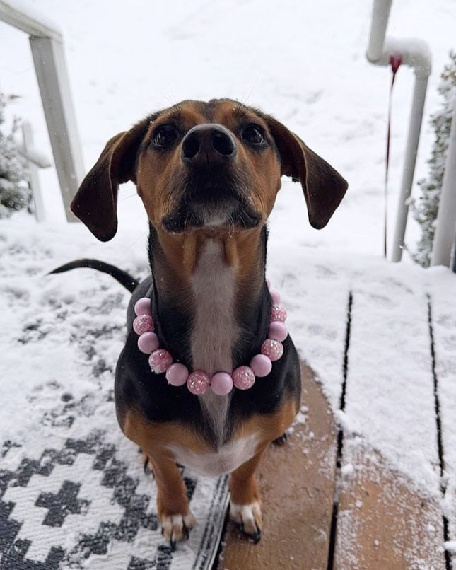 Pretty in Pink